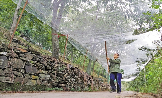 1499079845456538.png 71598117-02f7-4892-a576-3f28e3ff215a.png