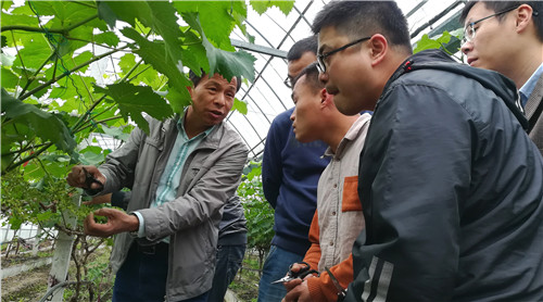 1524703247551862.jpg 副本2.jpg