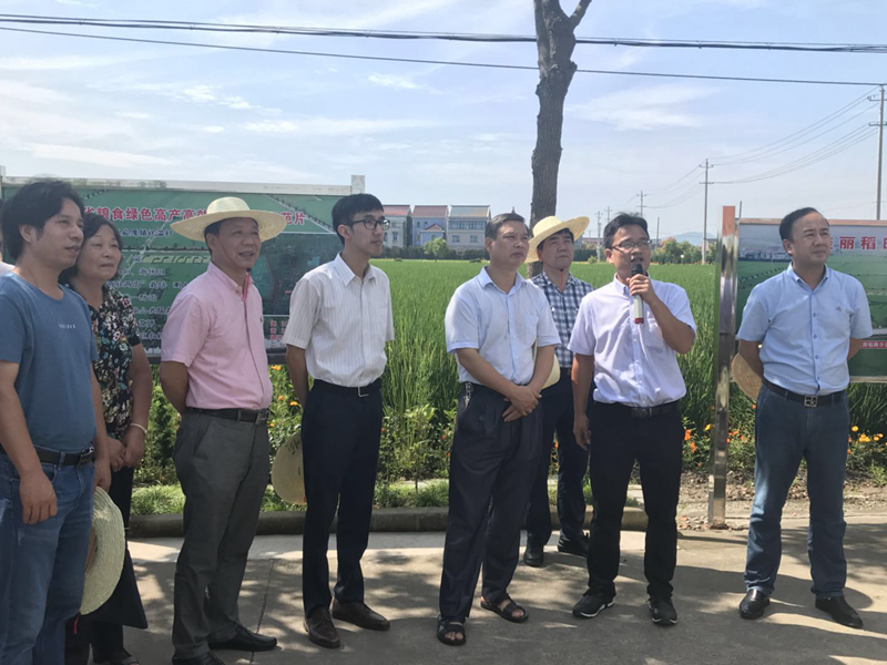 &ldquo;惠多利&rdquo;有機無機復混肥助力化肥減量增效