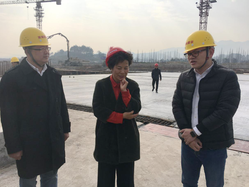 麗水市委常委、宣傳部長任淑女調研松陽美林&middot;南城壹號項目