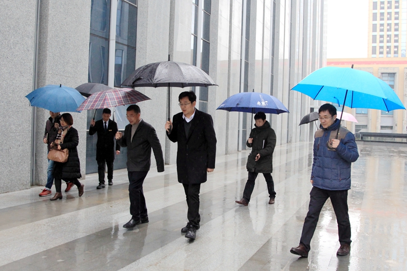 浙農科創園運營在即 濱江區領導來指導