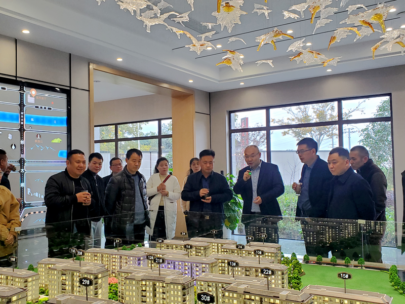 &ldquo;大搬快聚&rdquo;工作組調(diào)研龍泉美林公館