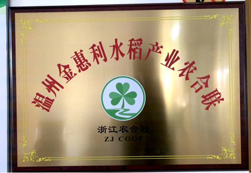 溫州金惠利水稻產(chǎn)業(yè)農(nóng)合聯(lián)獲評(píng)&ldquo;省級(jí)農(nóng)業(yè)產(chǎn)業(yè)化聯(lián)合體&rdquo;