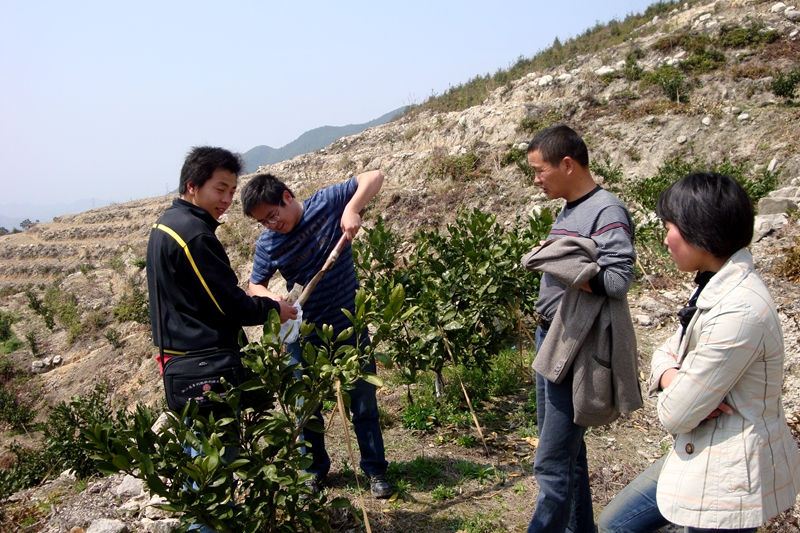 1635320350342273.jpg 測土配方施肥技術_副本.jpg