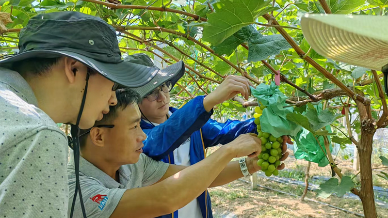 1663549081183057.png 圖片4_副本.png