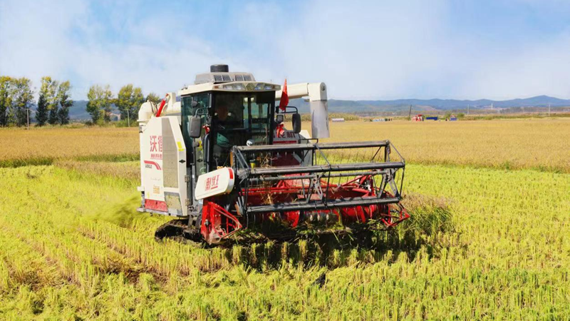 浙農(nóng)金泰助力&ldquo;寒地水稻綠色種植&rdquo;項(xiàng)目百畝示范工作