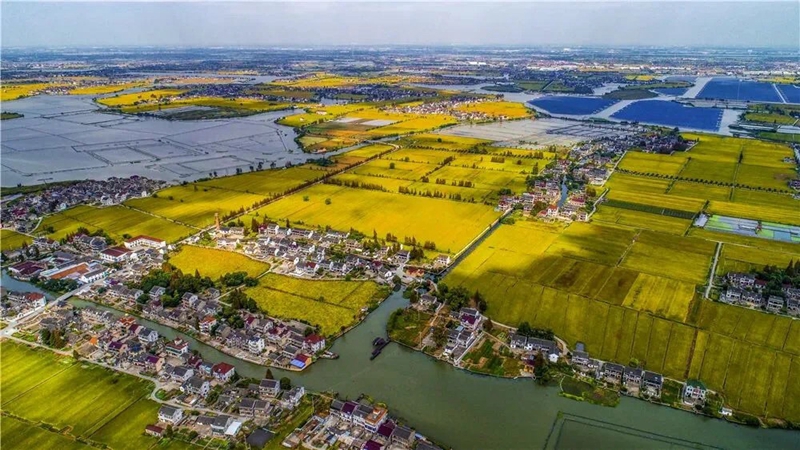 1668998779930877.jpg ae610552-febc-472b-8437-8649e0cc7295_副本.jpg