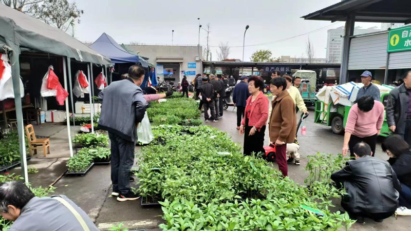 緩解&ldquo;賣菜難&rdquo; 建德農批市場自產自銷臨時攤位投入使用