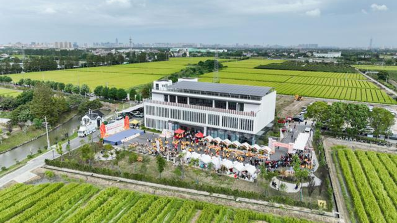 海寧馬橋服務中心舉行2024嘉興&mdash;海寧&middot;中國農民豐收節系列活動